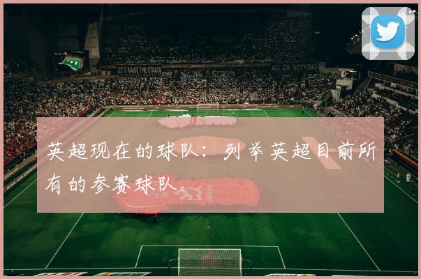 英超现在的球队：列举英超目前所有的参赛球队。