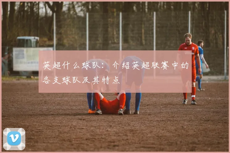 英超什么球队：介绍英超联赛中的各支球队及其特点